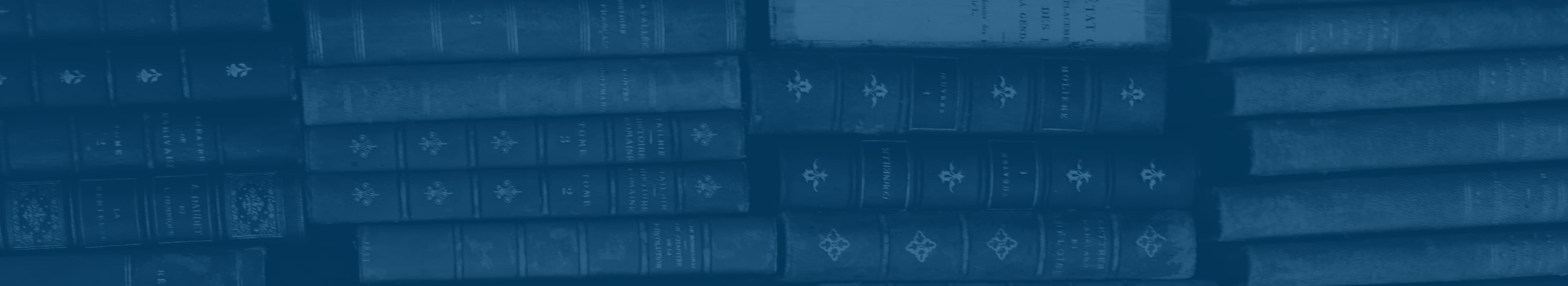 Obraz w tle wyszukiwarki